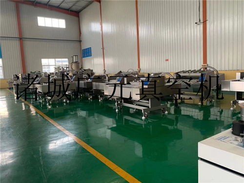 江苏玉米滚动式真空机 诸城广元机械设备助力粮食加工高效发展